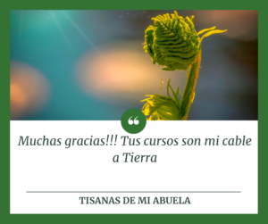 cable a tierra