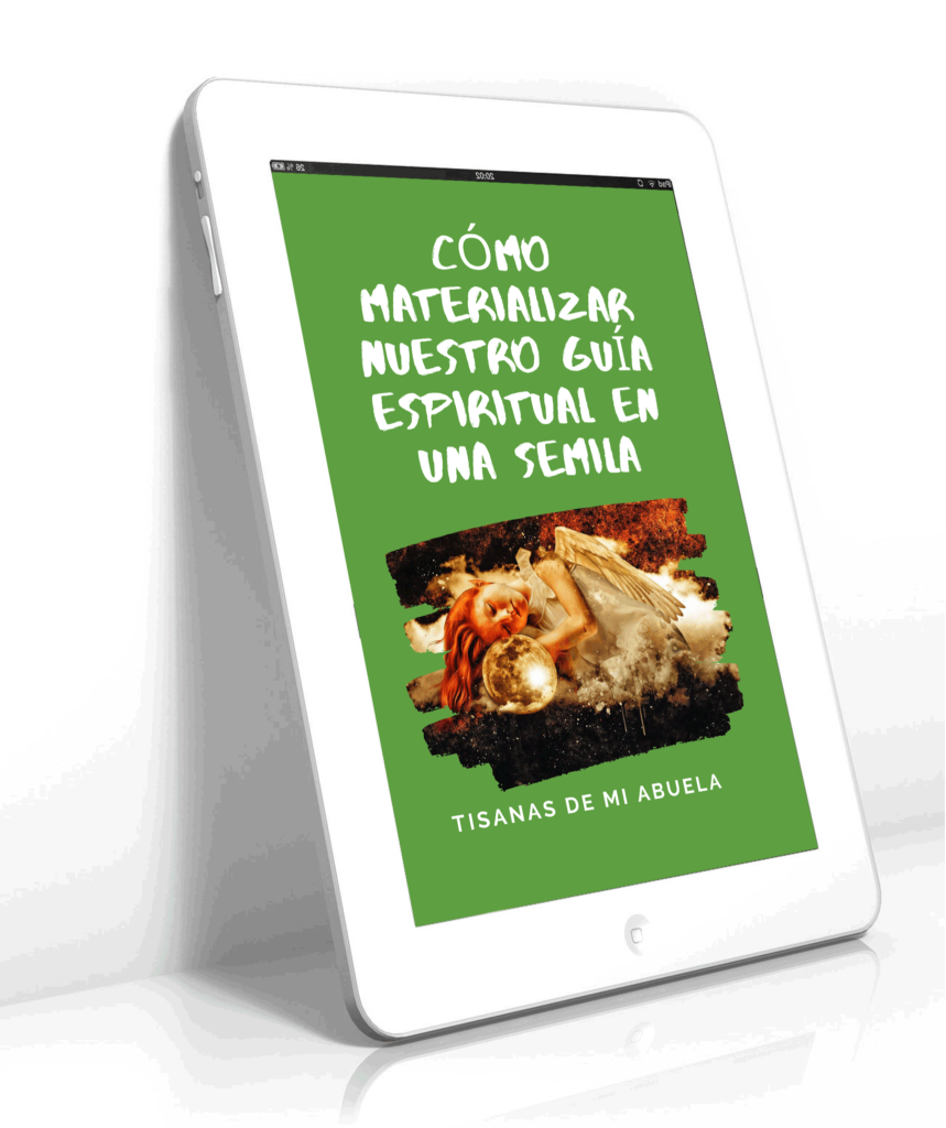 Cómo materializar tu guía de espiritual en una semilla