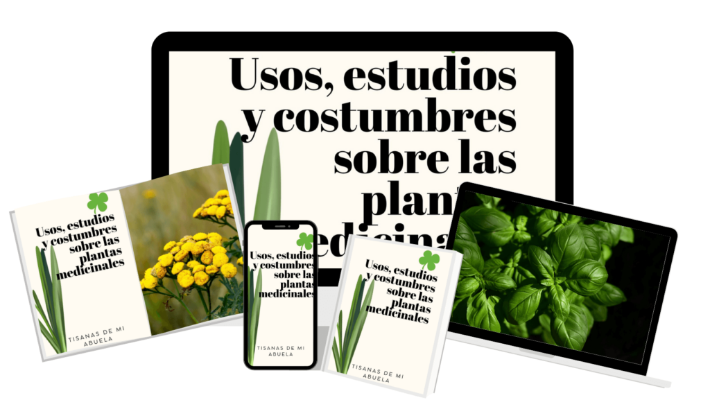 Usos estudios y costumbres sobre las plantas medicinales