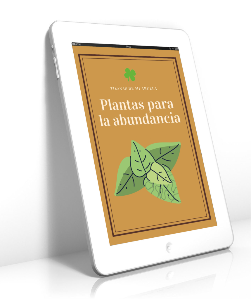 Taller de plantas para la abundancia
