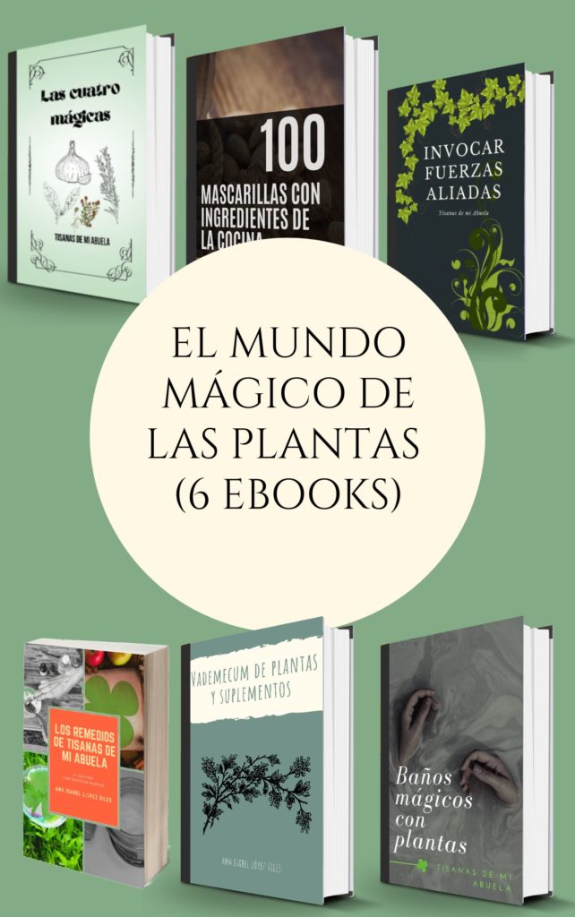 El mundo mágico de las plantas