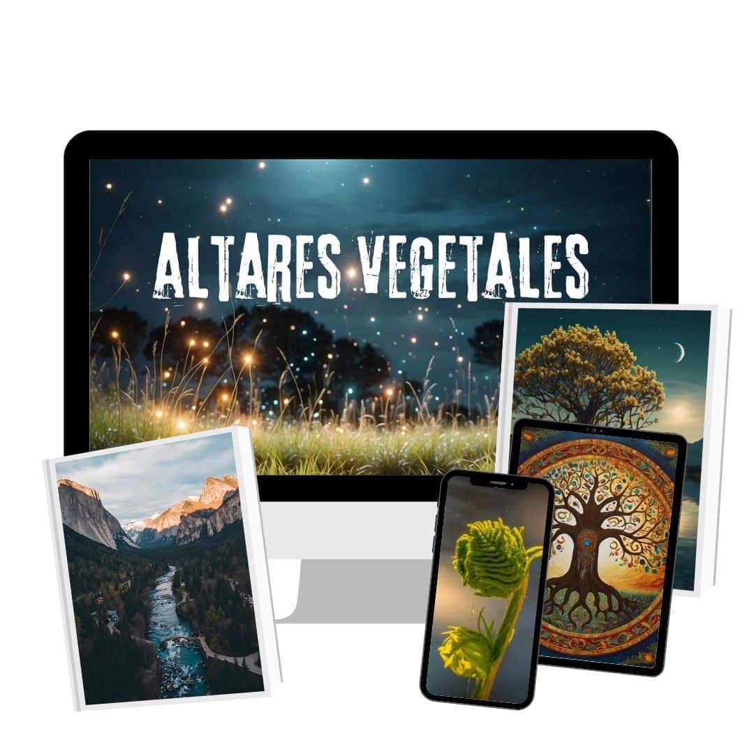 Taller de Altares vegetales